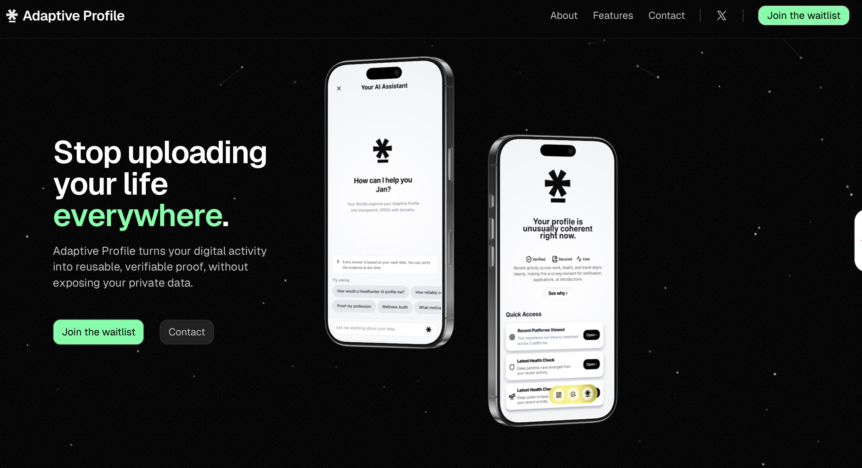 Adaptive Profile Website